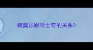 藏獒加跟哈士奇的关系