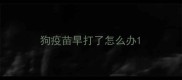 狗疫苗早打了怎么办
