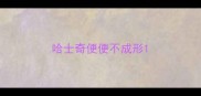 哈士奇便便不成形