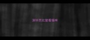 深圳芭比堂看猫咪