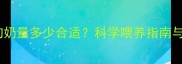 刚出生的小狗奶量多少合适科学喂养指南与常见问题全