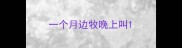 一个月边牧晚上叫