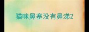猫咪鼻塞没有鼻涕