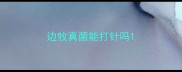 边牧真菌能打针吗