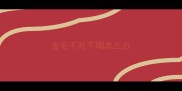 金毛不吃不喝怎么办