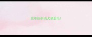 拉布拉多幼犬换胎毛