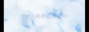 宠物飞机托运安全吗