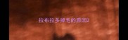 拉布拉多掉毛的原因