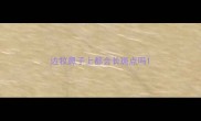 边牧鼻子上都会长斑点吗