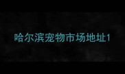 哈尔滨宠物市场地址