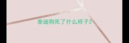 泰迪狗死了什么样子