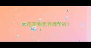 大连宠物美容师学校