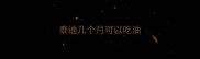 泰迪几个月可以吃油