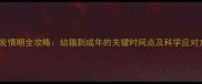 猫咪发情期全攻略幼猫到成年的关键时间点及科学应对方法