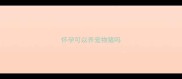 怀孕可以养宠物猪吗