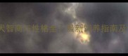 拉布拉多犬智商与性格全最新饲养指南及训练技巧