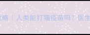 猫咪疫苗接种全攻略人类能打猫疫苗吗医生交叉免疫真相