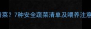 金毛犬能吃哪些青菜7种安全蔬菜清单及喂养注意事项附食谱
