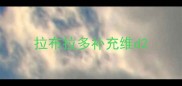 拉布拉多补充维d
