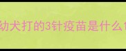 幼犬打的3针疫苗是什么