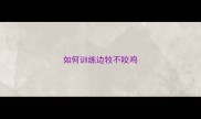 如何训练边牧不咬鸡