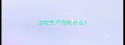 边牧生产完吃什么