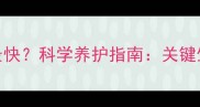吉娃娃几个月长得最快科学养护指南关键生长期与饲养技巧全