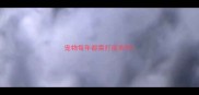 宠物每年都需打疫苗吗