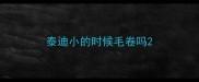 泰迪小的时候毛卷吗