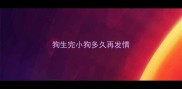 狗生完小狗多久再发情