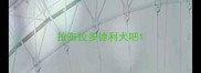 拉布拉多德利犬吧