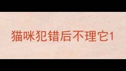 猫咪犯错后不理它
