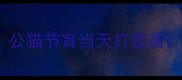 公猫节育当天打疫苗