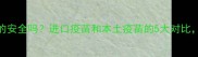 狗狗打国产疫苗真的安全吗进口疫苗和本土疫苗的5大对比老宠医教你避坑指南