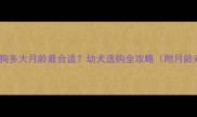 宠物店狗狗多大月龄最合适幼犬选购全攻略附月龄对照表