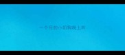 一个月的小奶狗晚上叫