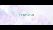 哈士奇动不动拉稀
