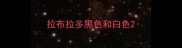拉布拉多黑色和白色