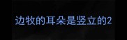 边牧的耳朵是竖立的