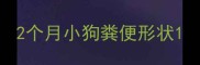 2个月小狗粪便形状