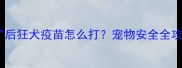 被狗撞了后狂犬疫苗怎么打宠物安全全攻略