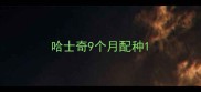哈士奇9个月配种