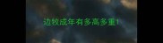 边牧成年有多高多重