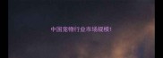 中国宠物行业市场规模