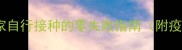 金毛幼犬疫苗全攻略在家自行接种的零失败指南附疫苗选择与应急处理技巧