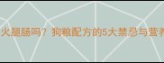 泰迪犬能吃火腿肠吗狗粮配方的5大禁忌与营养替代方案