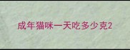 成年猫咪一天吃多少克