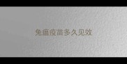 兔瘟疫苗多久见效