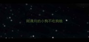 刚满月的小狗不吃狗粮