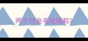 两个月金毛吃拖鞋